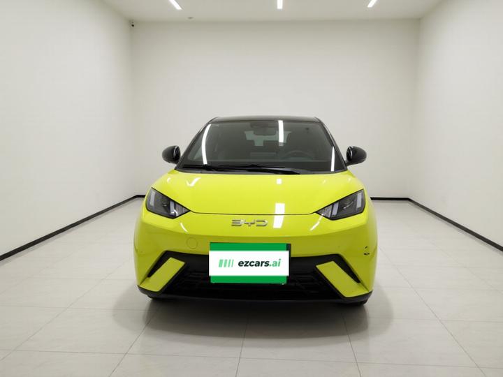 Seagull 2023 photo 2