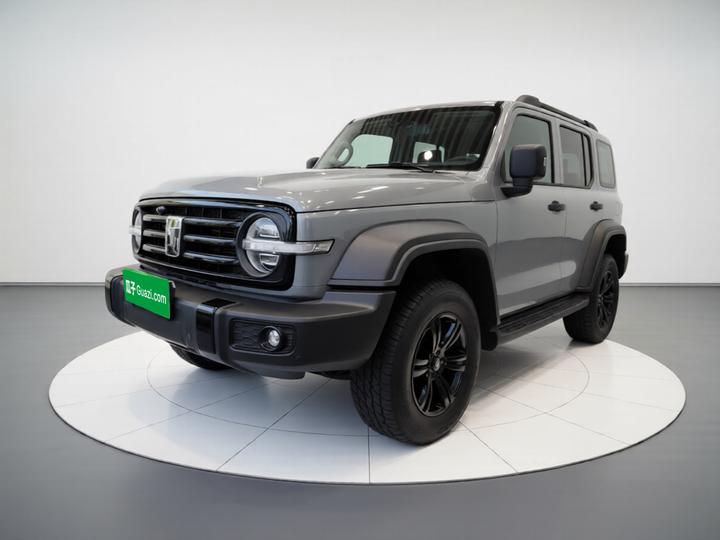 300 2021 Off-road 2.0T