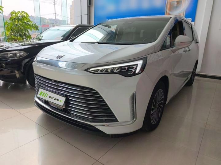 2025 2.0T 7-Seater Exclusive