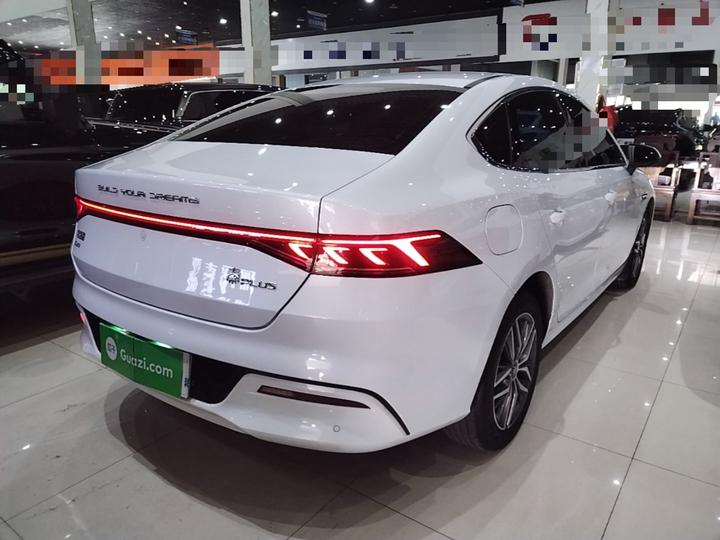 Qin PLUS 2024 Honor DM-i 55KM photo 6