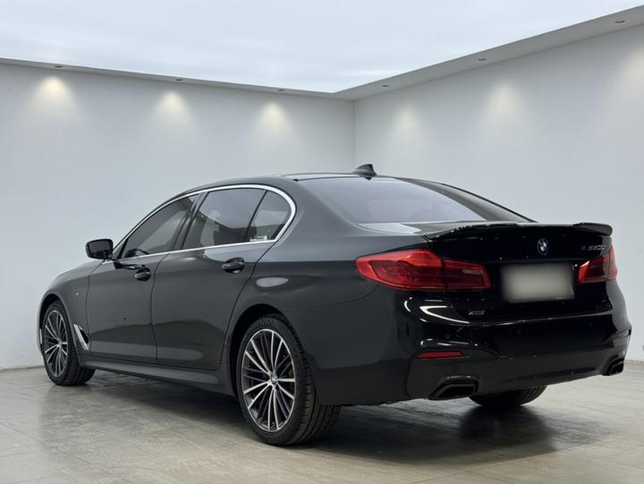 5 Series 2020 530Li xDrive M Sport Package photo 4