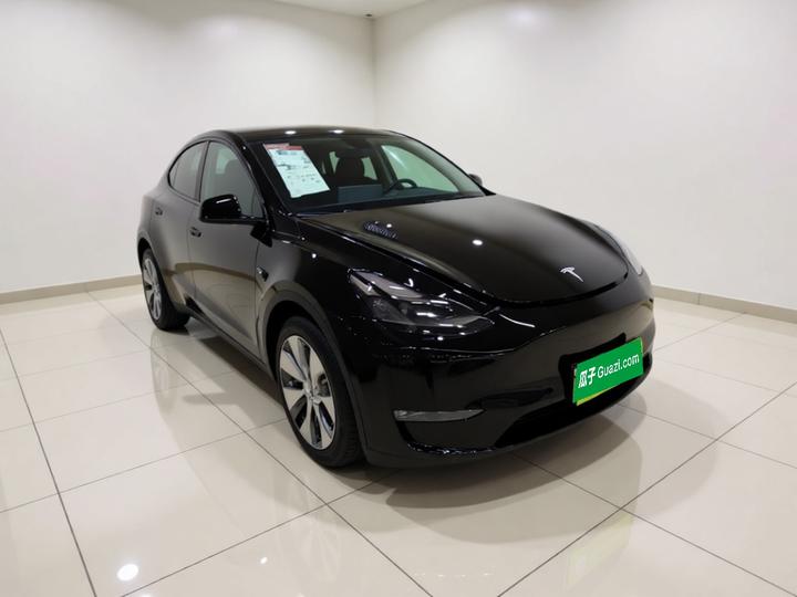 Model Y 2021 Long Range AWD photo 3