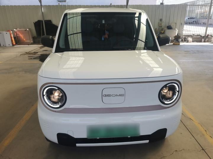 2024 Panda mini 200km Endurance Bear photo 2