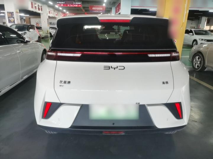 Seagull 2025 ADAS 305km photo 3