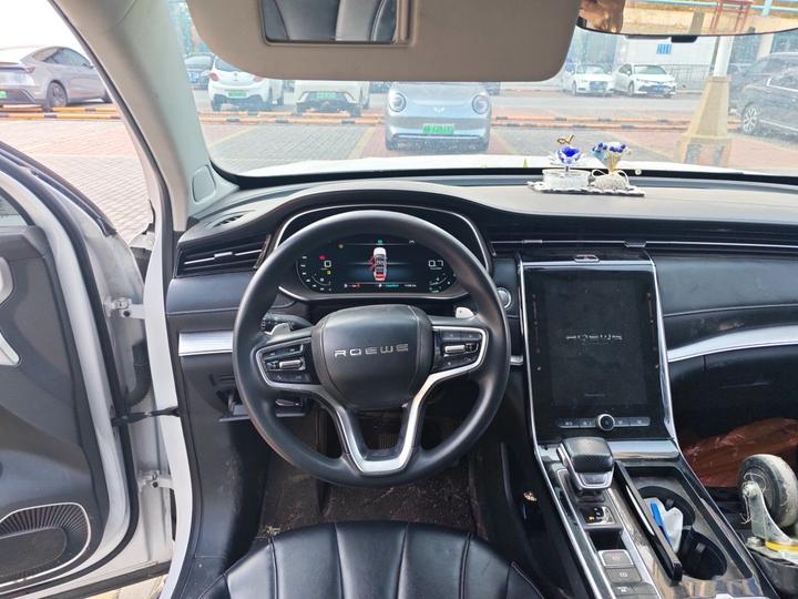 RX5 MAX 2019 300TGI AT 4G Luxury photo 3