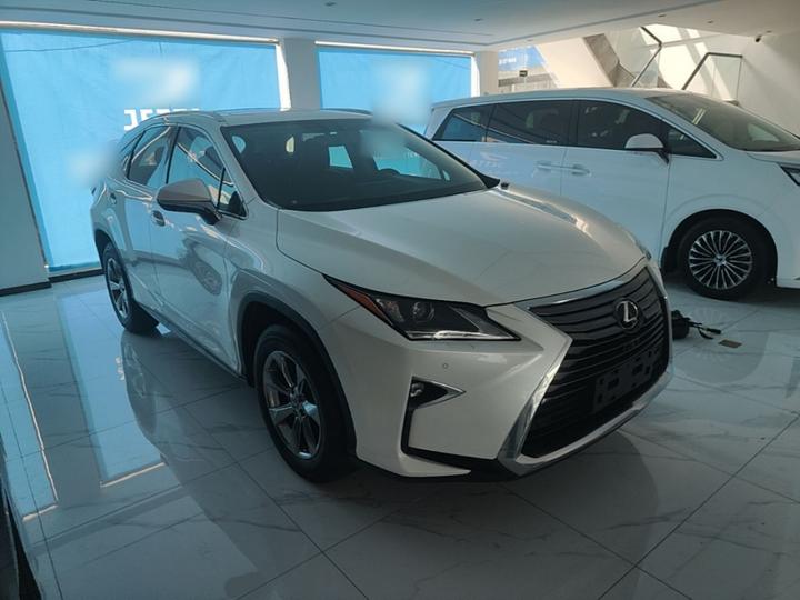 RX 2016 300 RWD Elite China VI photo 3