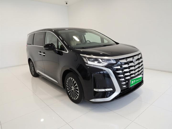 D9 2024 DM-i 980 AWD Premium photo 3