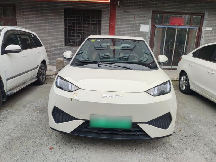 Seagull 2025 ADAS 305km photo 2