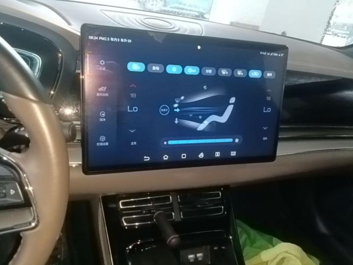 Han 2020 EV Extended Range Luxury photo 8