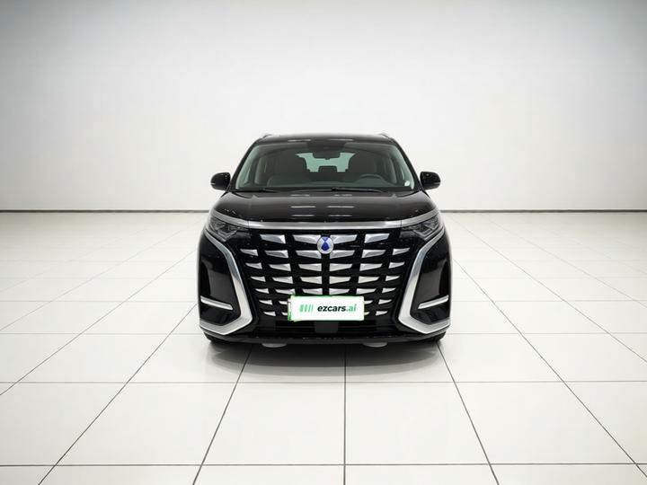 D9 2024 DM-i 980 AWD Flagship photo 2