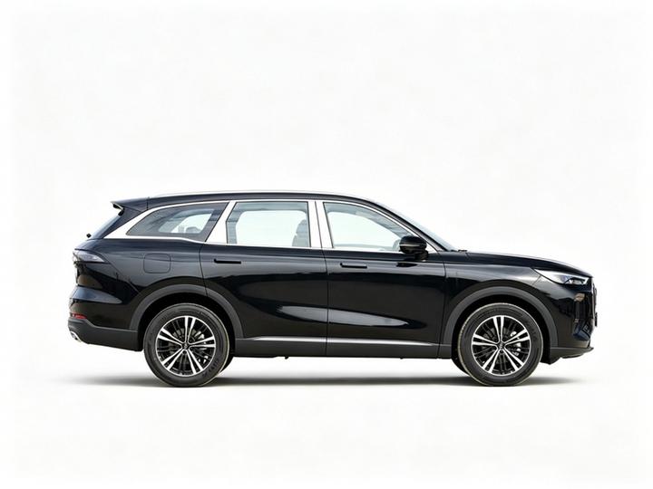 Tiggo 9 2026 9X 2.0T AT RWD Premium photo 3