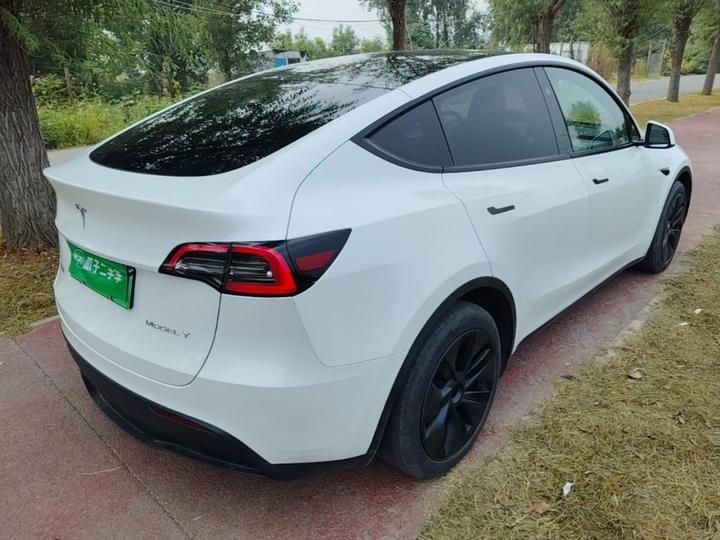 Model Y 2024 RWD photo 4