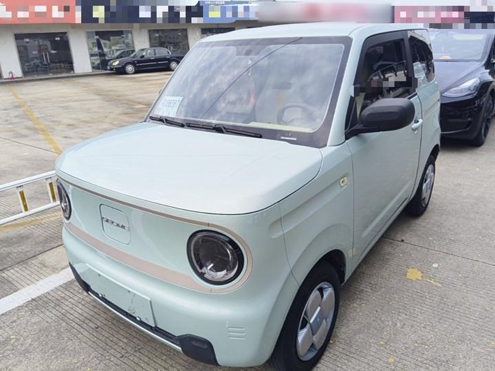 2023 Panda mini 200km Endurance Bear