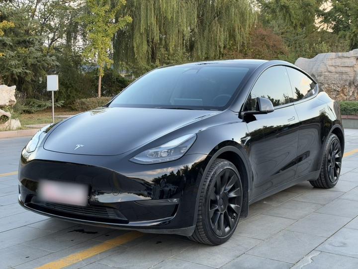 Model Y 2021 Standard Range RWD
