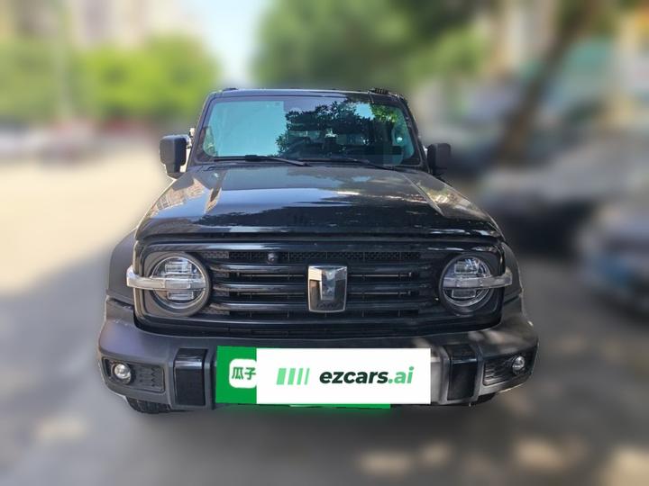 300 2021 Off-road 2.0T Conqueror photo 2