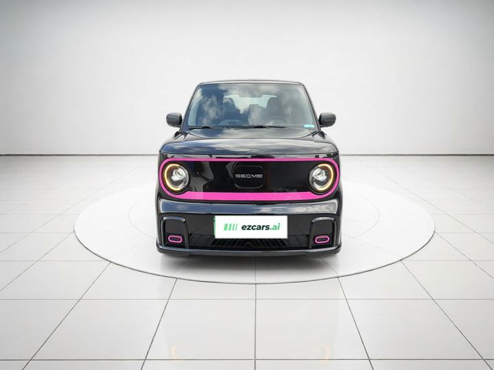 2025 210km Panda photo 2