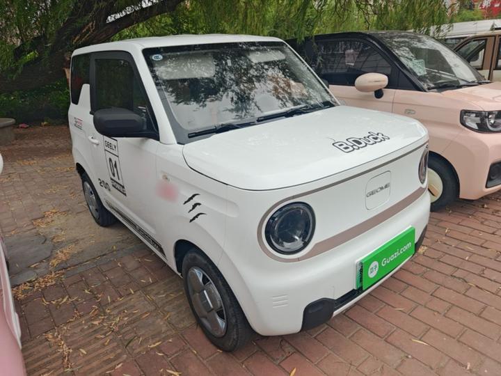 2024 Panda mini 200km Endurance Bear photo 3