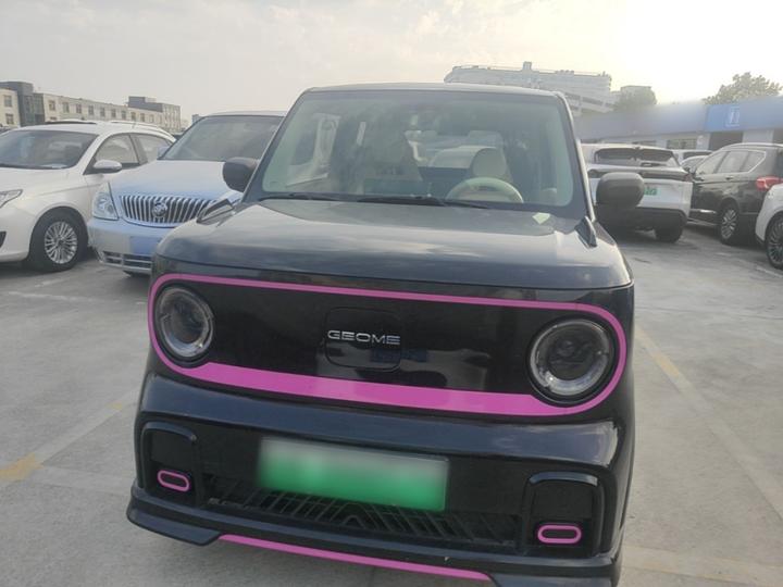2024 200km Panda photo 2