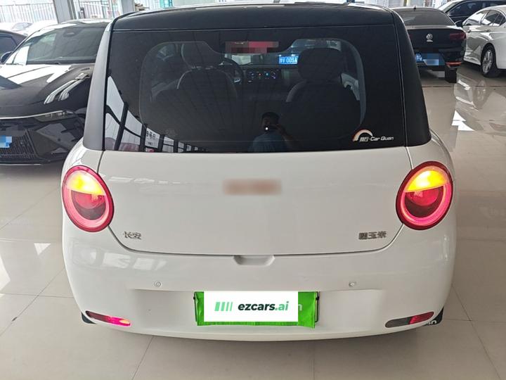 Nevo Changan Lumin 2022 210km photo 3