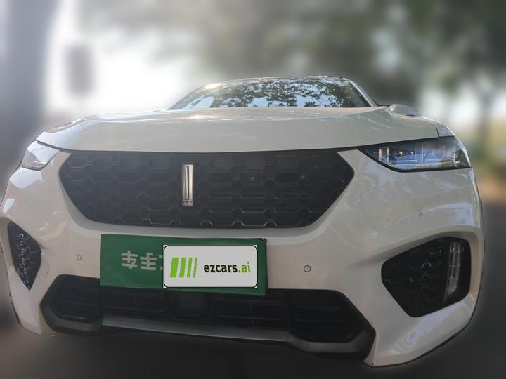 VV7 2019 Upgraded 2.0T Flagship China V photo 2