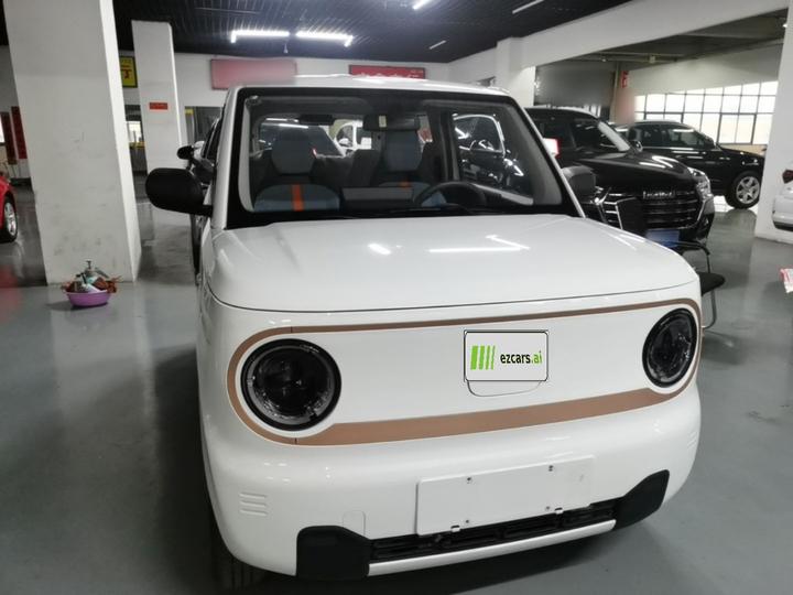 2024 Panda mini 200km Endurance Bear photo 2