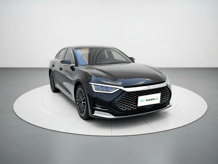 Han 2020 DM AWD Performance Luxury photo 3