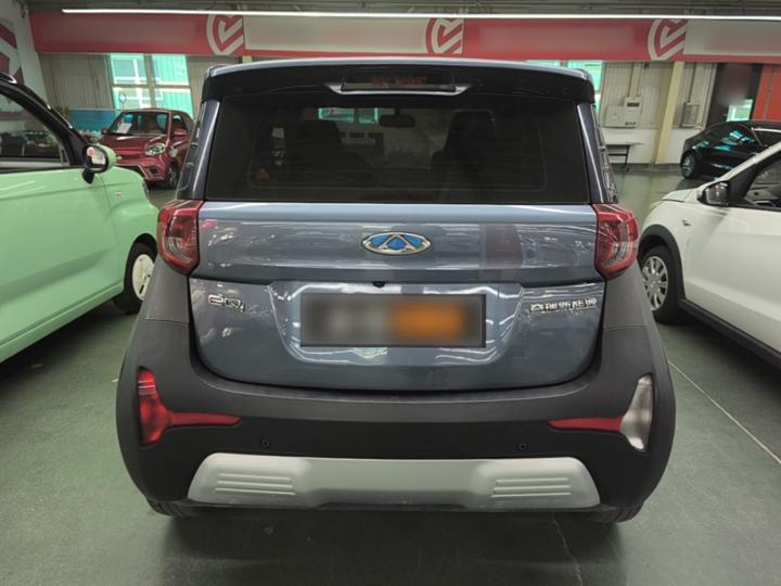 QQ Little Ant 2021 15 LFP photo 5