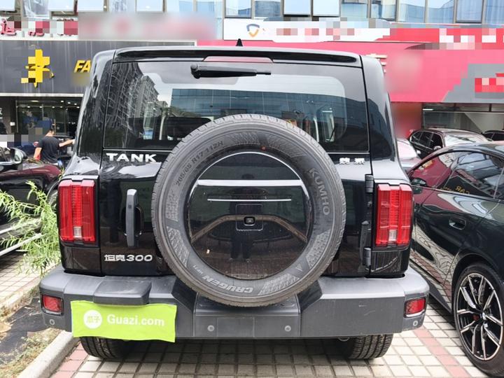 300 2021 Off-road 2.0T Conqueror photo 5