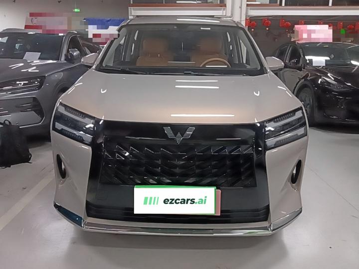 730 EV 2025 125km Luxury photo 2