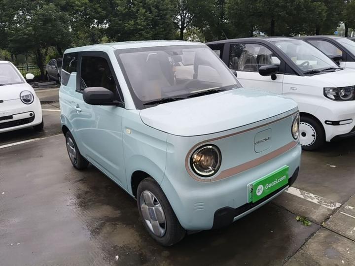 2024 Panda mini 200km Endurance Bear photo 3