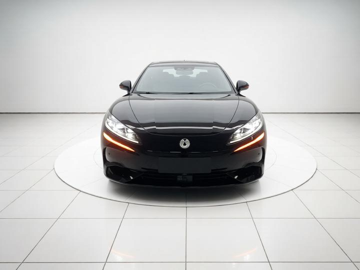 Z9 2024 1100km AWD Max photo 2