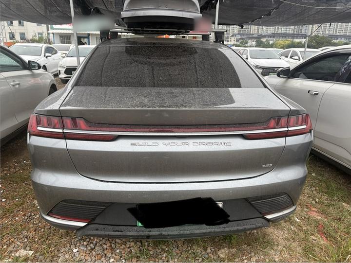 Han 2020 EV AWD Performance Flagship photo 3