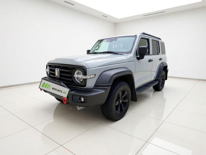300 2023 Off-road 2.0T