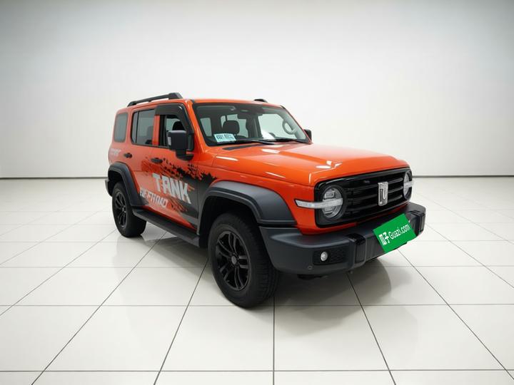 300 2021 Off-road 2.0T Conqueror photo 3