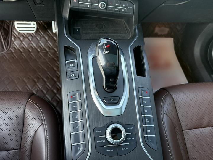 VV6 2018 2.0T RWD Flagship China V photo 6