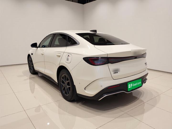 Seal 06 EV 2025 DM-i ADAS 80KM Luxury photo 4