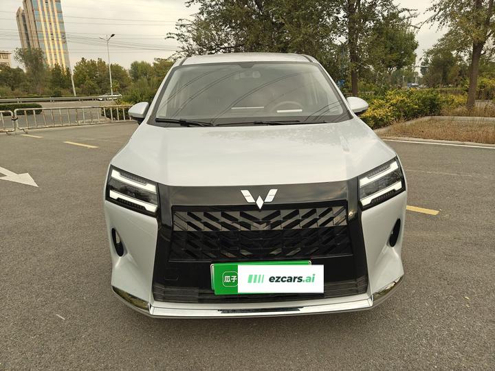 730 EV 2025 125km Luxury photo 2