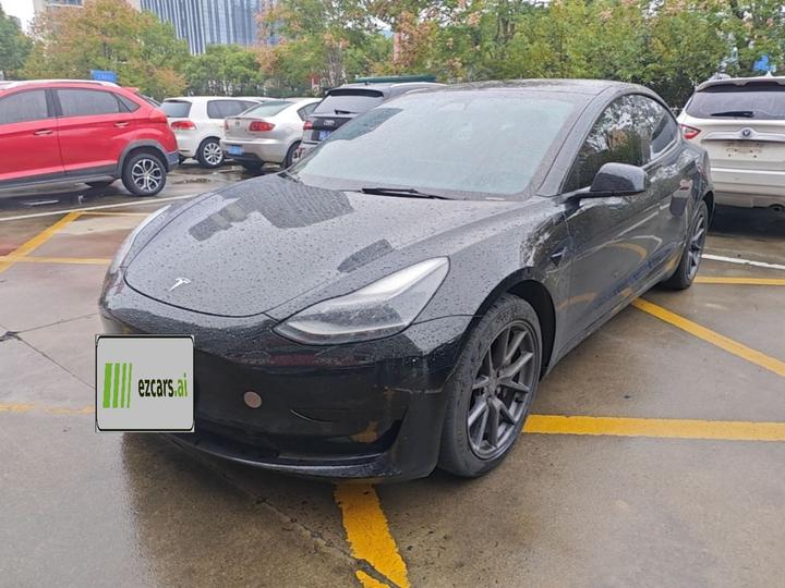 Model 3 2021 Standard Range RWD Upgraded 3D6