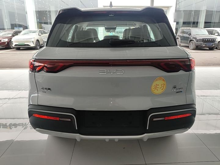 Yuan UP 2025 ADAS 401KM Leading photo 3