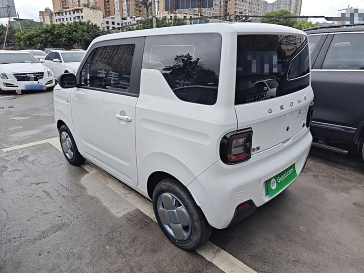 2023 Panda mini 200km Endurance Bear photo 4