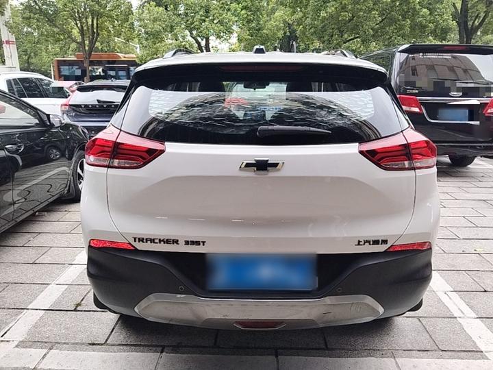 2019 Redline 335T CVT China VI photo 3