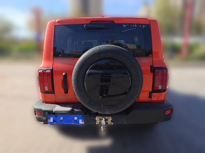 300 2023 Off-road 2.0T photo 5