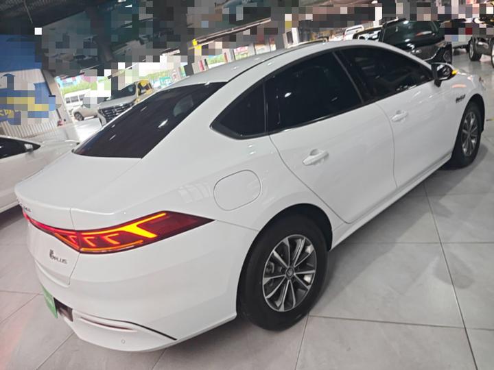 Qin PLUS 2024 Honor DM-i 55KM Leading photo 6