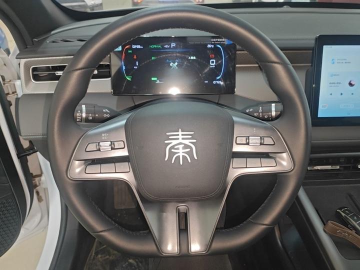 Qin PLUS 2025 DM-i ADAS 55KM Leading photo 6