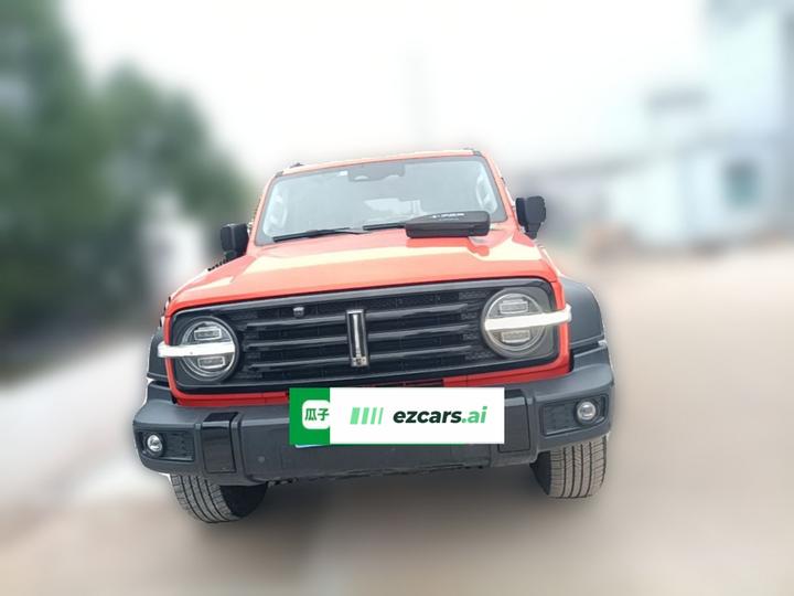 300 2021 Off-road 2.0T Conqueror photo 2