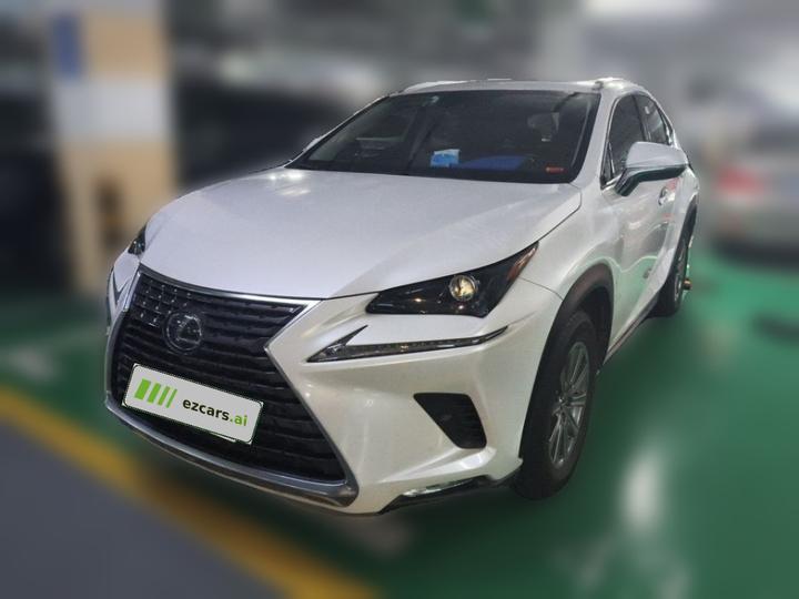 NX 2020 300h FWD China VI