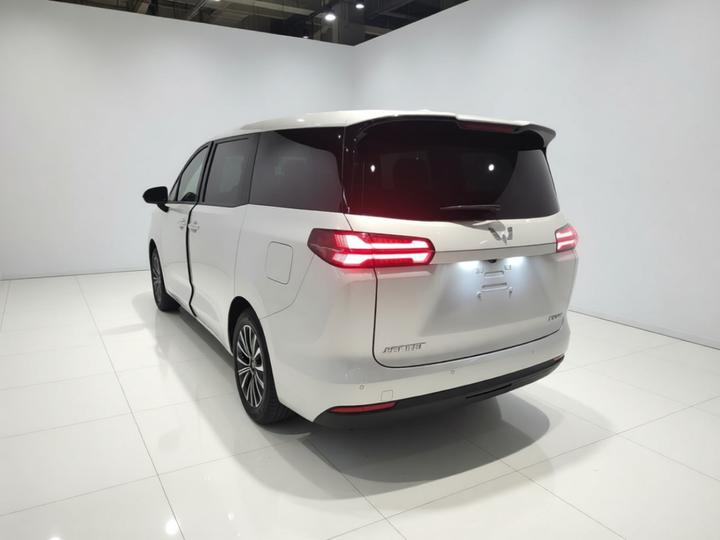 730 EV 2025 125km Luxury photo 4
