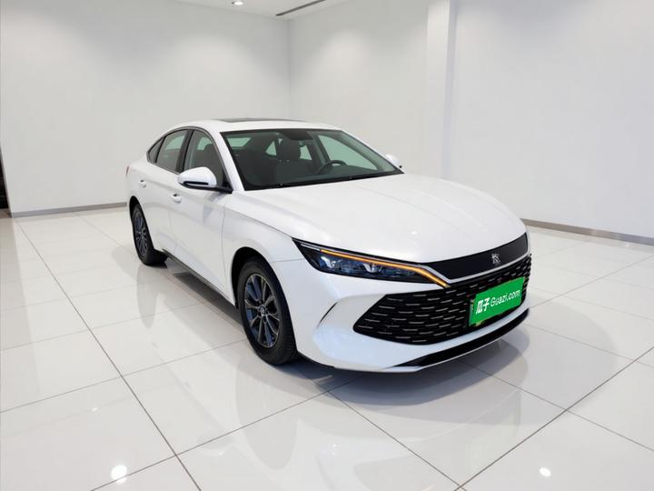 Qin L 2024 DM-i 80KM Leading photo 3