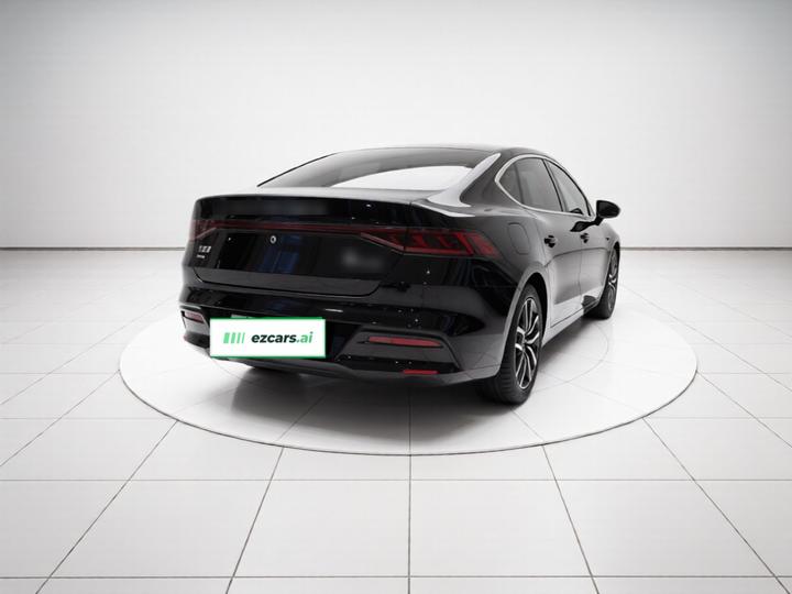 Qin PLUS 2024 Honor DM-i 120KM Leading photo 6