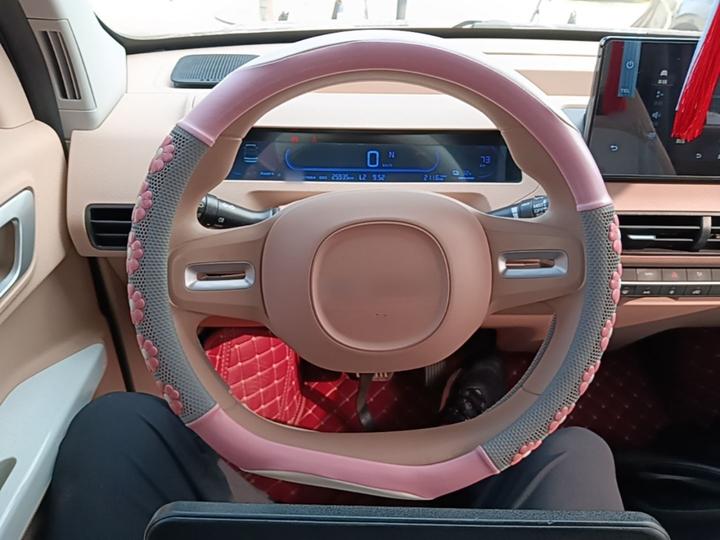 2023 Panda mini 200km Endurance Bear photo 6